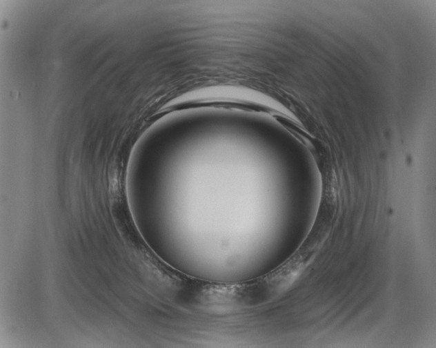 X0000086060084200703301052