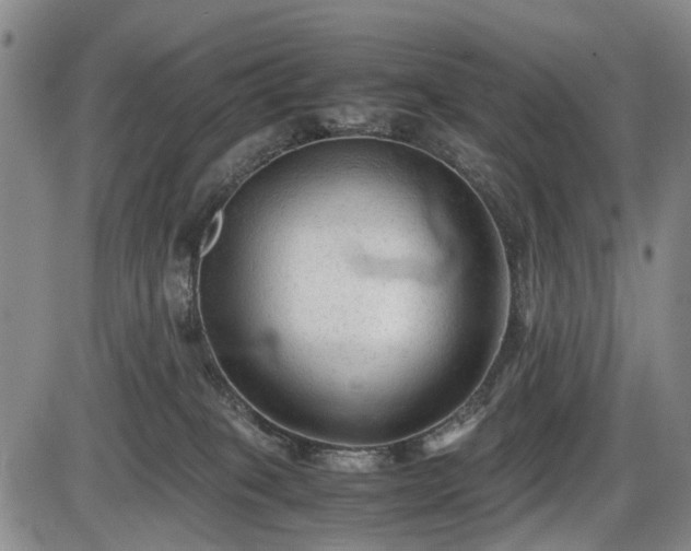 X0000086060085200703301052