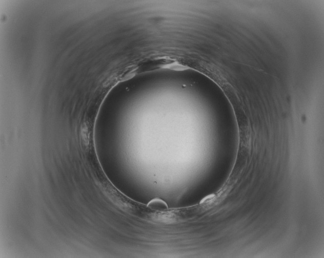 X0000086060086200703301052