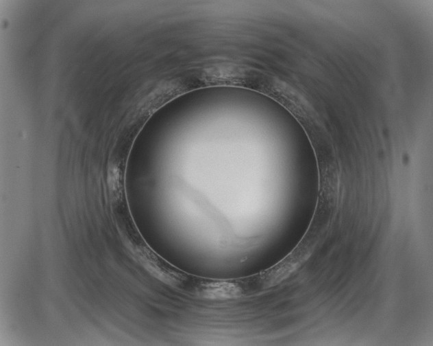 X0000086060087200703301052