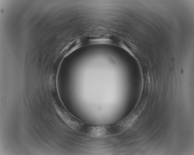 X0000086060088200703301052