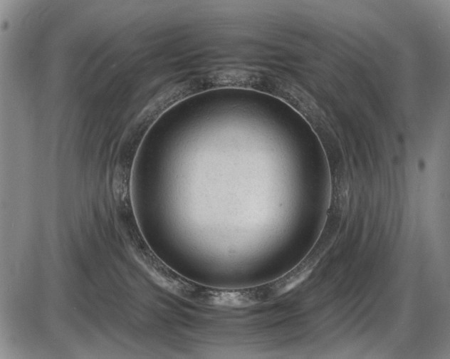 X0000086060091200703301052