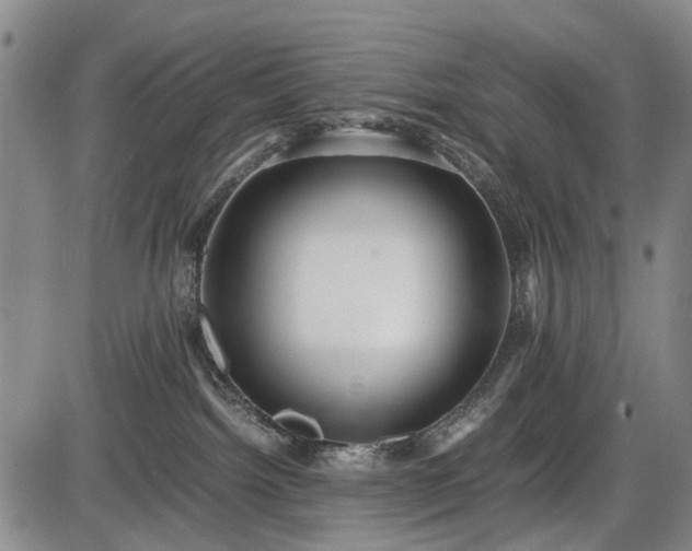 X0000086060092200703301052