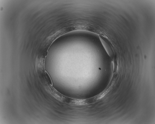 X0000086060093200703301052