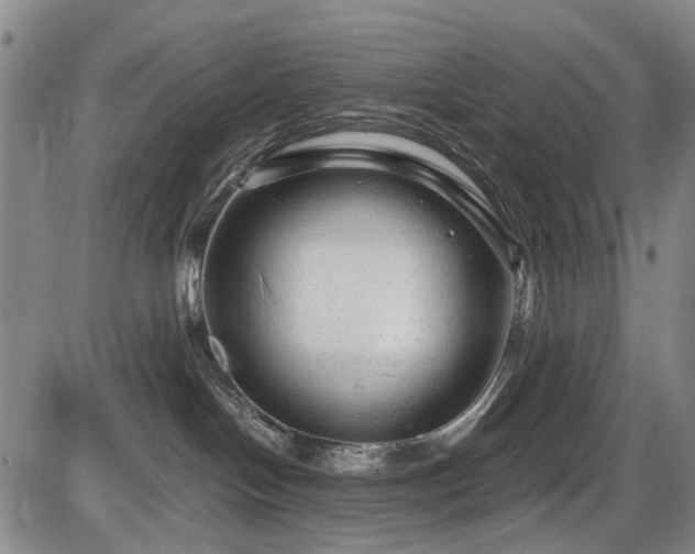 X0000086060094200703301052