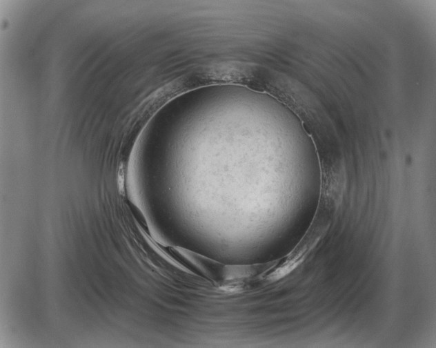 X0000086060095200703301052