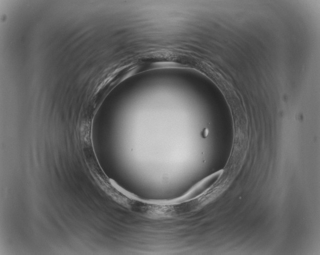 X0000086060096200703301052