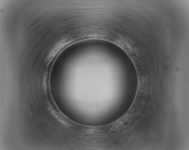 X0000086060098200703301051