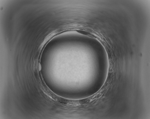 X0000086060099200703301051