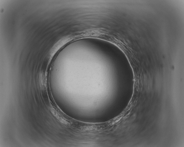 X0000086060100200703301051