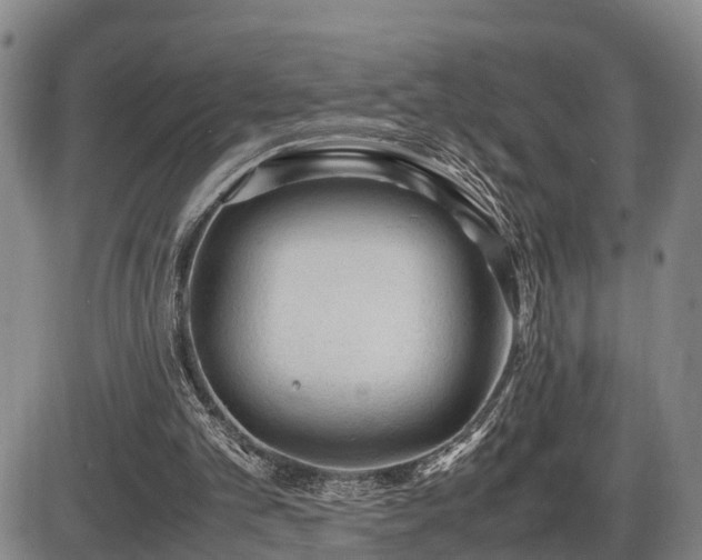 X0000086060101200703301051