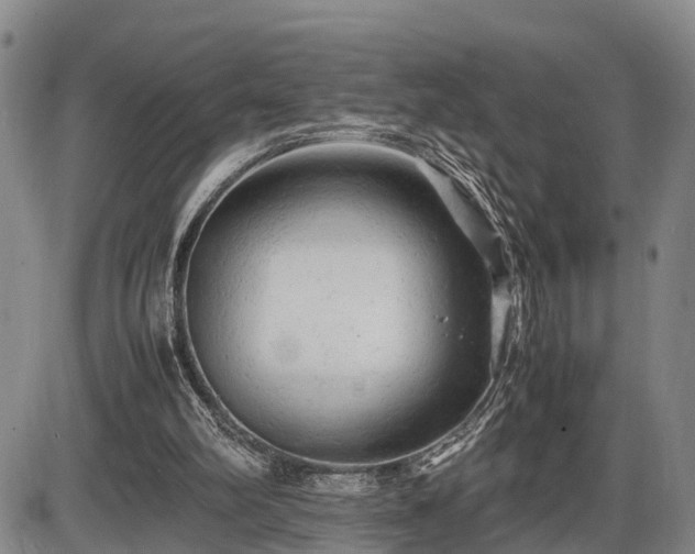 X0000086060102200703301051