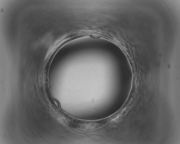 X0000086060103200703301051