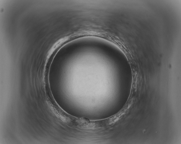 X0000086060104200703301051