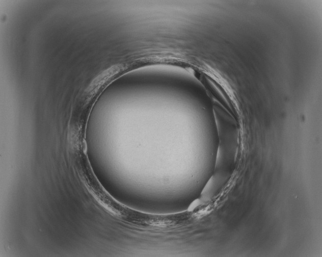 X0000086060105200703301051