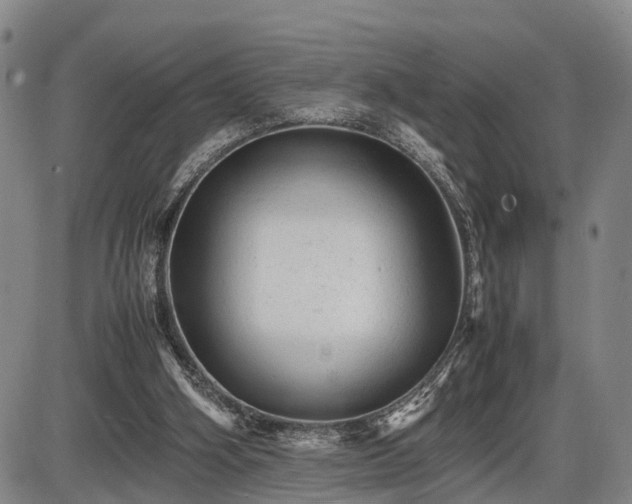 X0000086060106200703301051