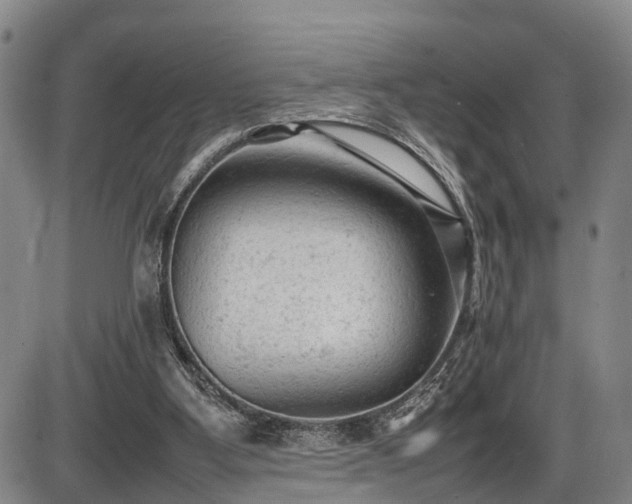 X0000086060107200703301051