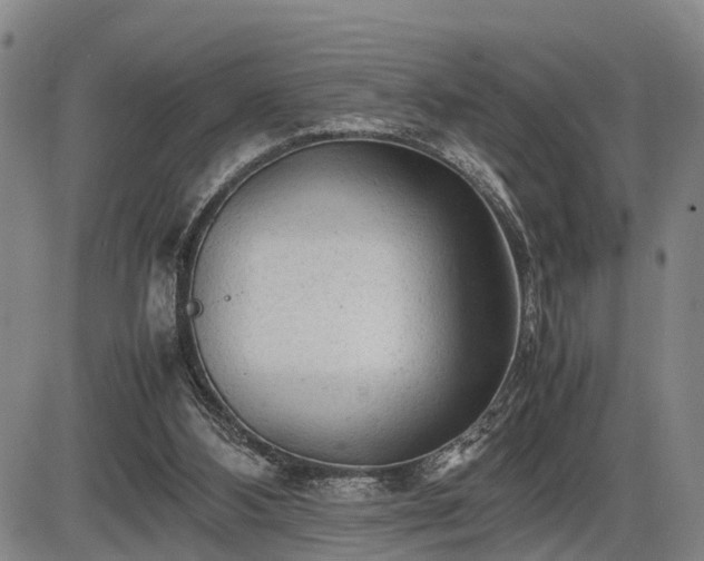 X0000086060108200703301051