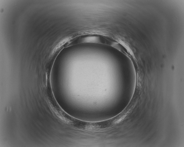 X0000086060109200703301051