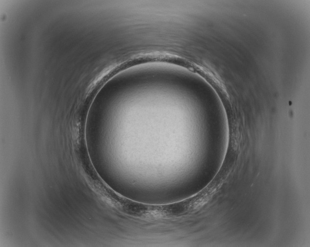 X0000086060111200703301051