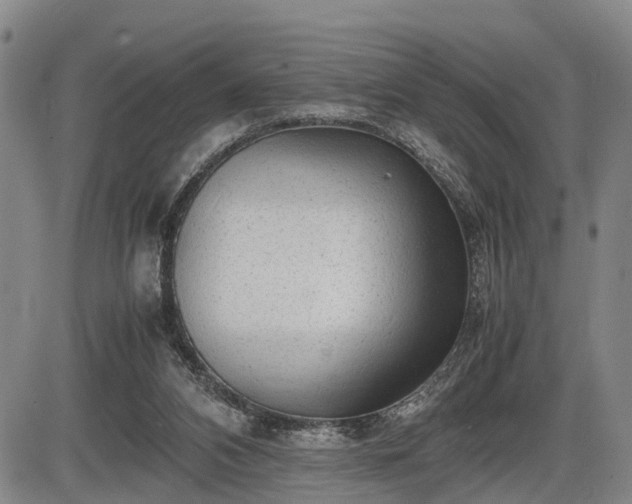 X0000086060112200703301051