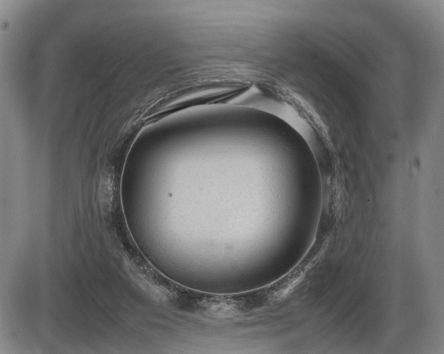 X0000086060113200703301051