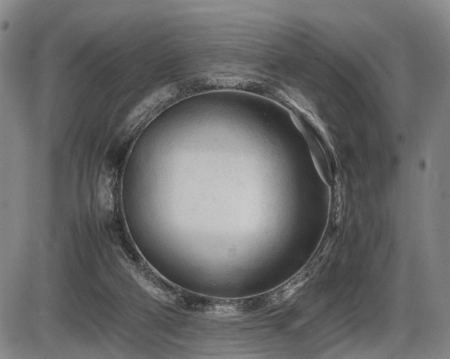 X0000086060114200703301051