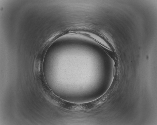 X0000086060115200703301051