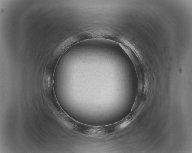 X0000086060117200703301051