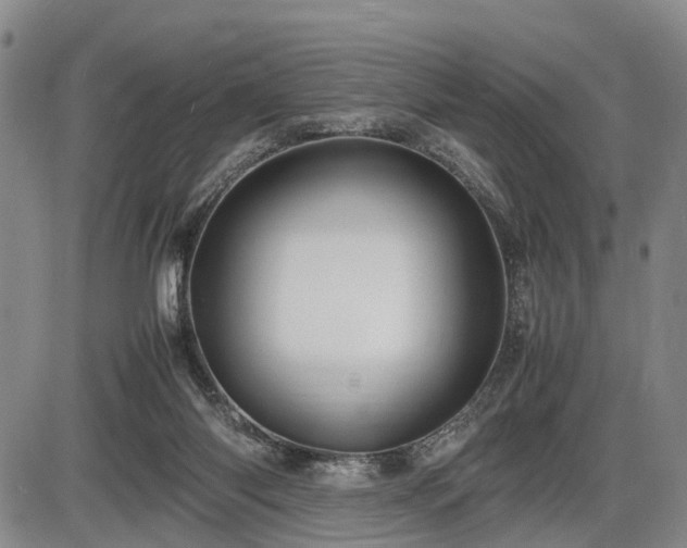 X0000086060118200703301051