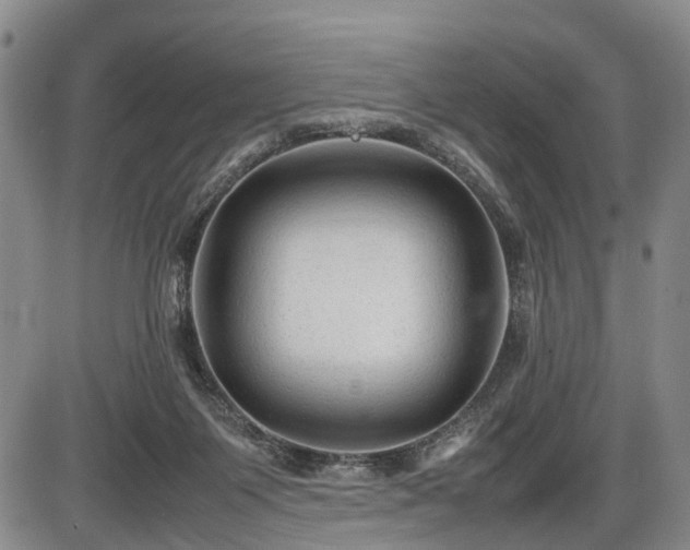 X0000086060119200703301051