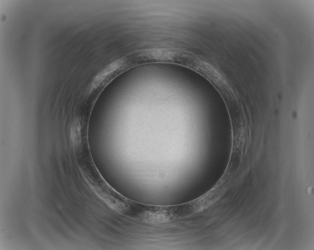 X0000086060120200703301051