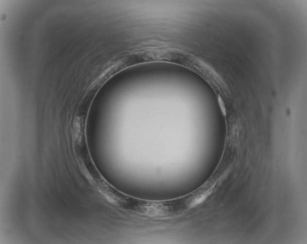 X0000086060121200703301051