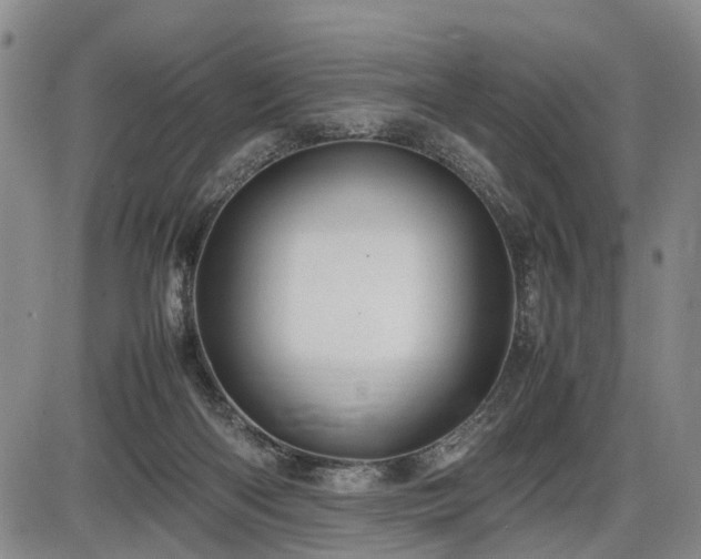 X0000086060122200703301051