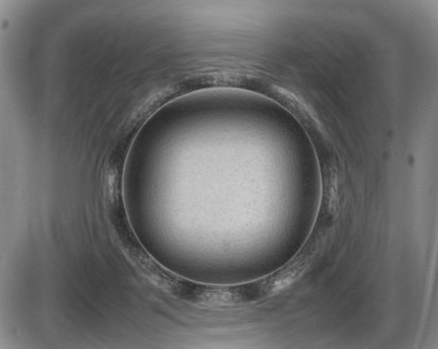 X0000086060123200703301051