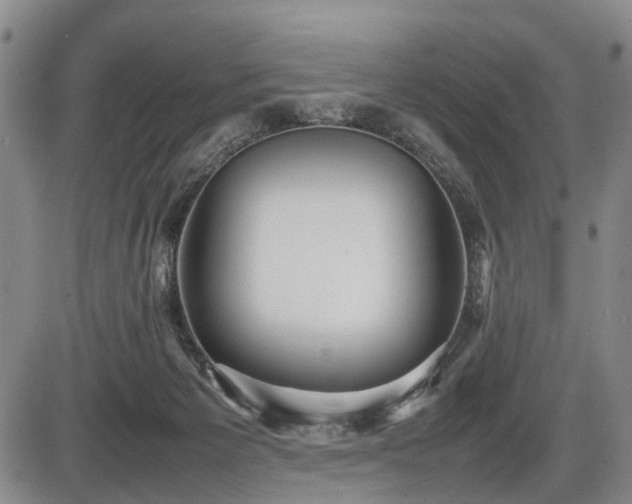 X0000086060125200703301051