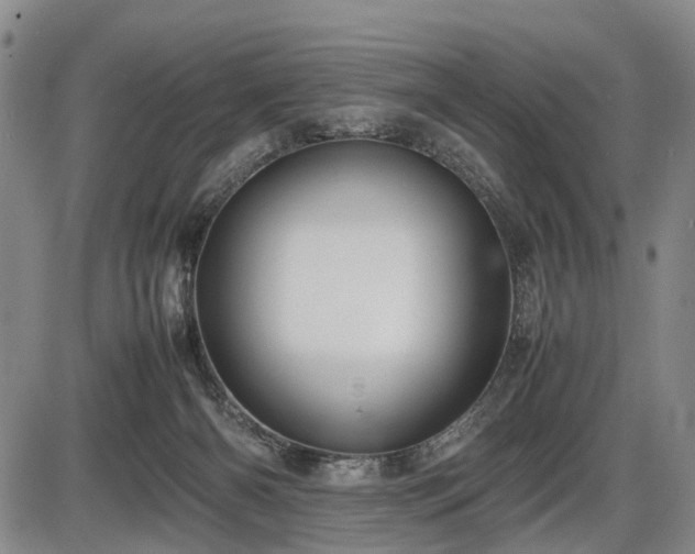 X0000086060126200703301051