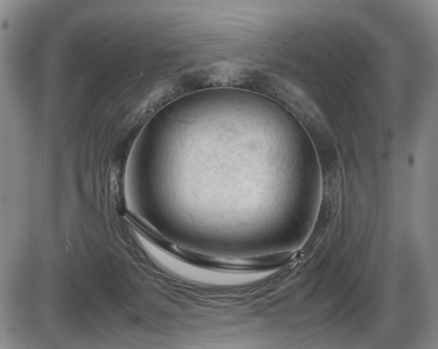 X0000086060127200703301050