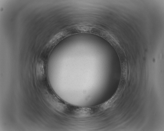 X0000086060128200703301050