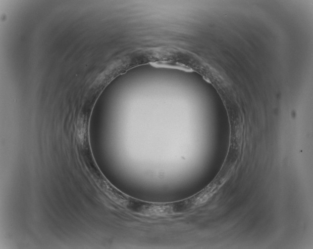 X0000086060129200703301050