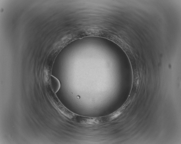 X0000086060130200703301050