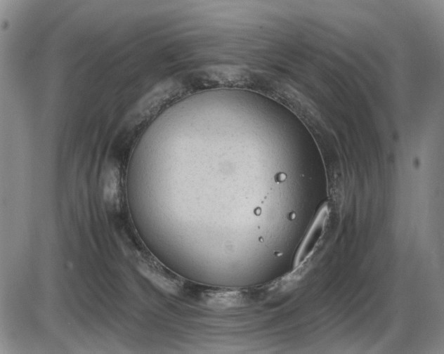 X0000086060132200703301050