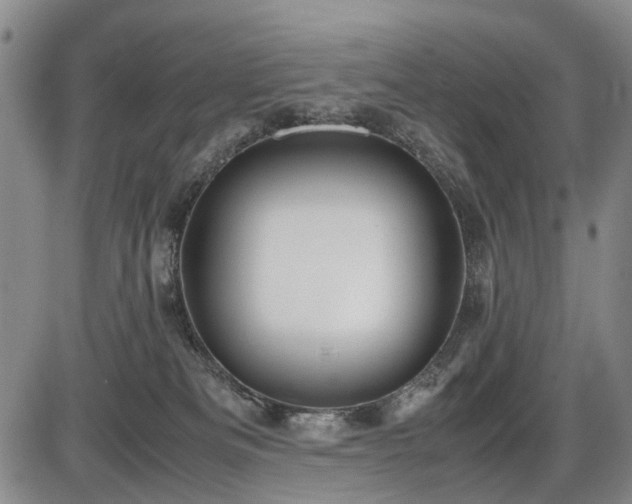 X0000086060133200703301050