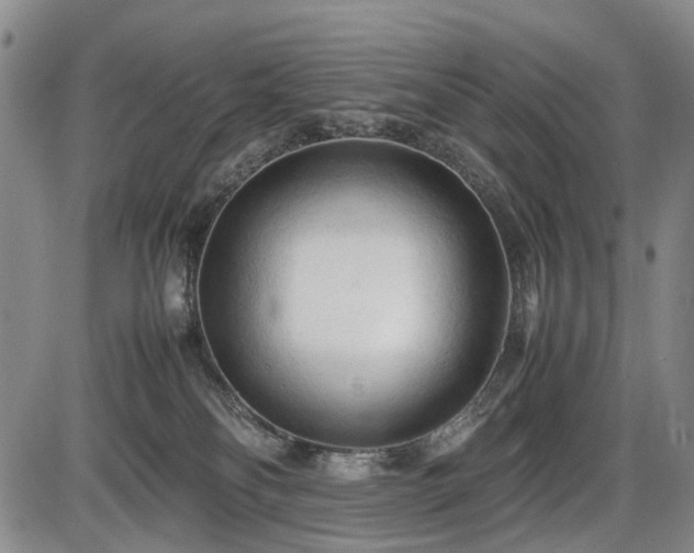 X0000086060134200703301050