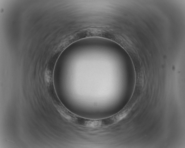 X0000086060135200703301050