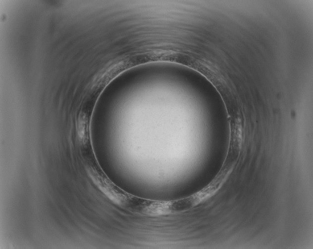 X0000086060138200703301050