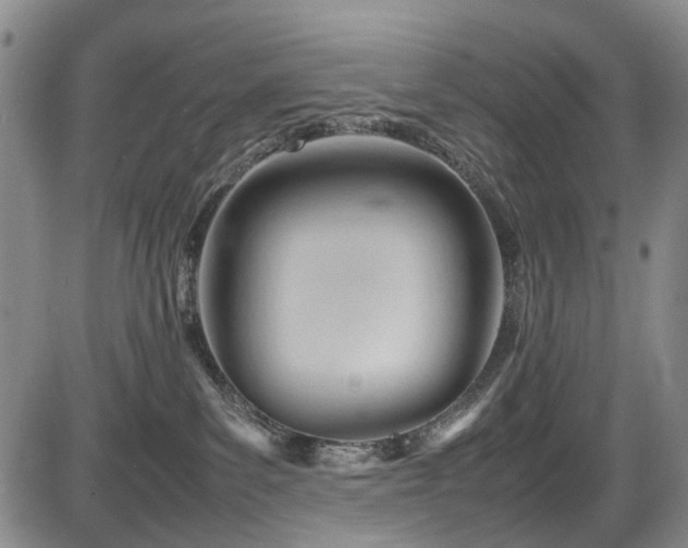 X0000086060139200703301050