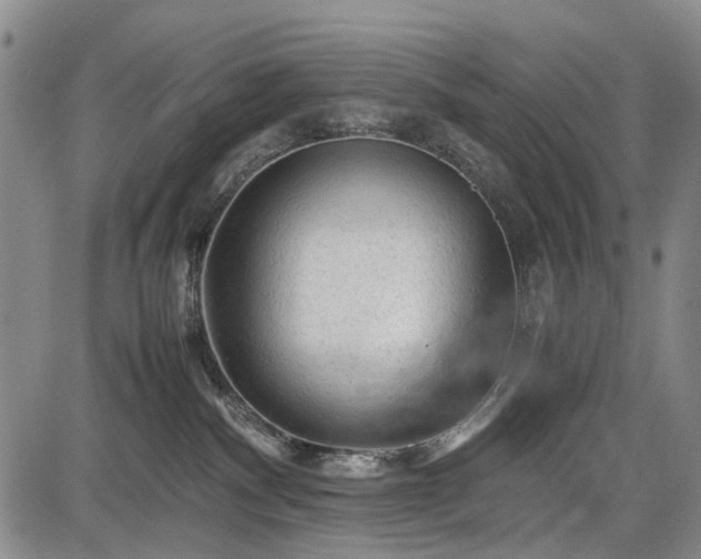 X0000086060140200703301050