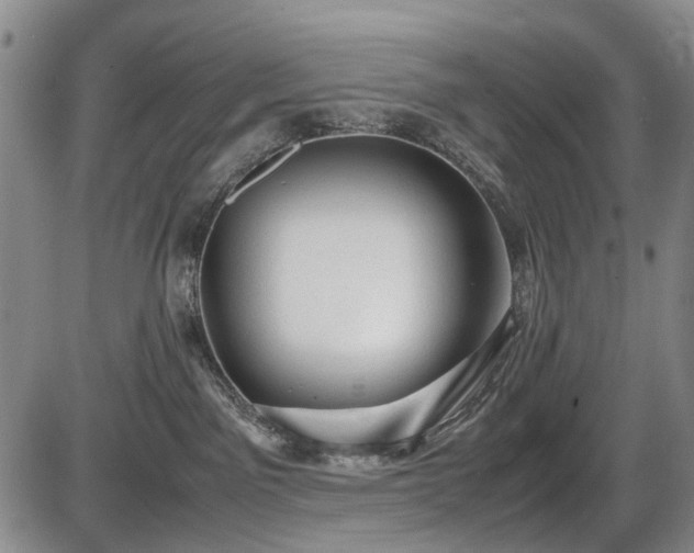 X0000086060141200703301050