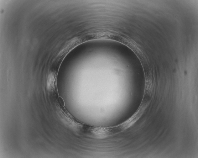 X0000086060142200703301050